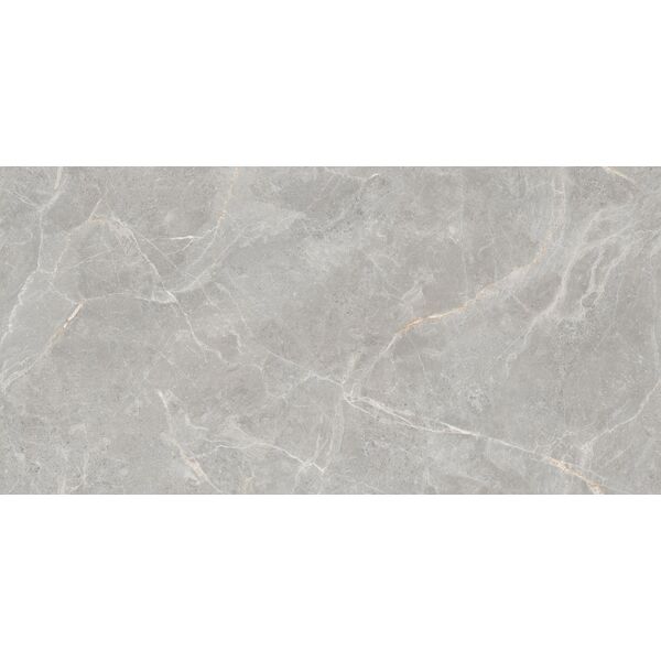 zdjęcie maxibox olivia grey polished 60x120 