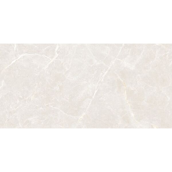 maxibox olivia silver polished 60x120 