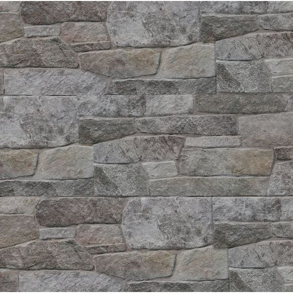 Maxstone Castello NSE Argento kamień elewacyjny 56x22x2.2