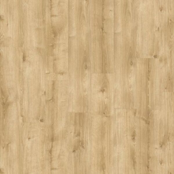 moduleo roots 55 eir galway oak 87372 panel winylowy lvt 132x19.6x0.25 