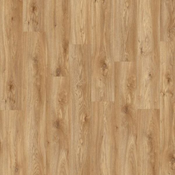 moduleo roots 55 eir sierra oak 58346 panel winylowy lvt 132x19.6x0.25 