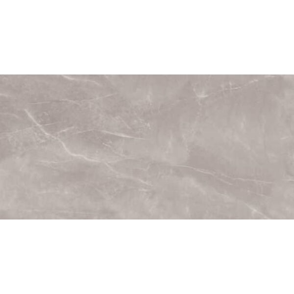 zdjęcie nuevo armani silver gres poler rektyfikowany 60x120