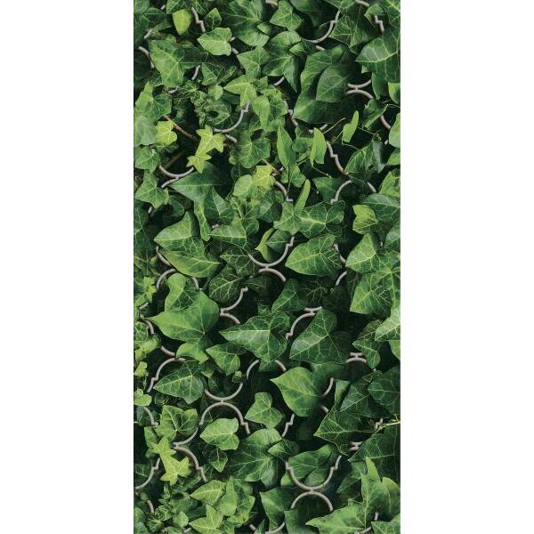 zdjęcie paradyż dream uniwersalny dekor szklany 30x60 