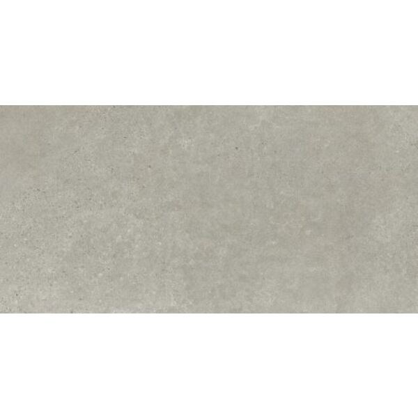 paradyż bergdust grey mat gres rektyfikowany 59.8x119.8 płytki paradyż (classica) imitujące beton 120x60 matowe mrozoodporne