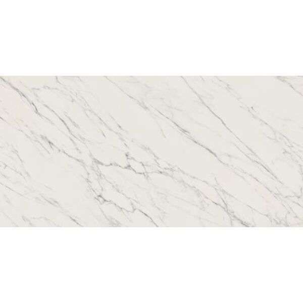 zdjęcie paradyż elite white mat rektyfikowany 59.8x119.8 