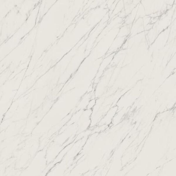 zdjęcie paradyż elite white mat gres rektyfikowany 119.8x119.8 