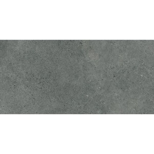 paradyż authority graphite płyta tarasowa gres mat str rektyfikowany 59.5x119.5x2 płytki gres szkliwiony imitujące beton tarasowe 2 cm 120x60 mrozoodporne