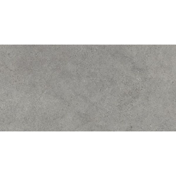 paradyż authority grey płyta tarasowa gres mat str rektyfikowany 59.5x119.5x2 płytki paradyż (my way) imitujące beton do kuchni 120x60 szare mrozoodporne