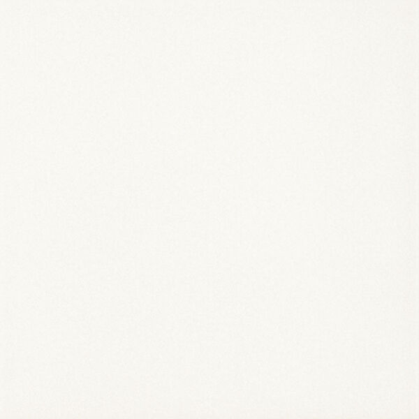 zdjęcie paradyż gammo biały gres 19.8x19.8 