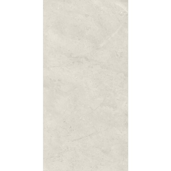 zdjęcie paradyż afternoon silver płytka ścienna 29.8x59.8 