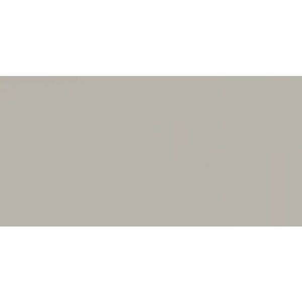 zdjęcie paradyż neve grys połysk płytka ścienna 29.8x59.8 