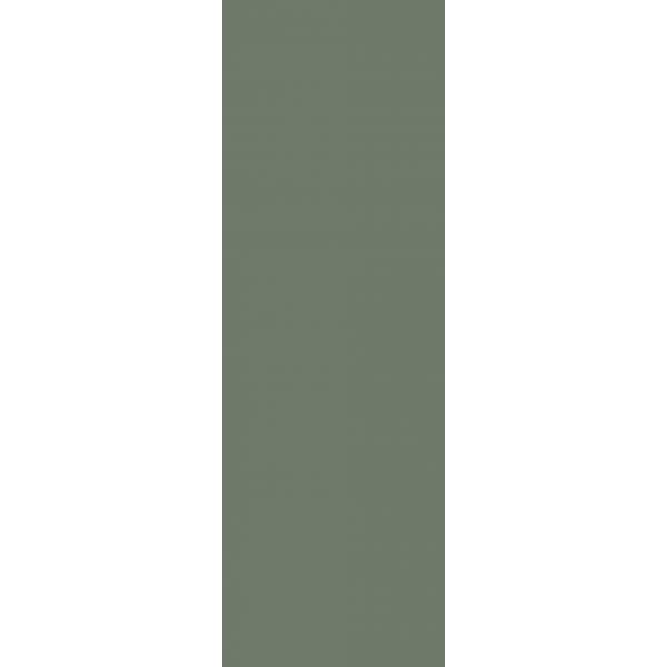 zdjęcie paradyż nightwish green płytka ścienna 25x75 