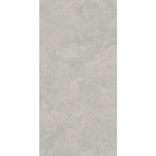 zdjęcie paradyż lightstone grey gres mat rektyfikowany 59.8x119.8x1 