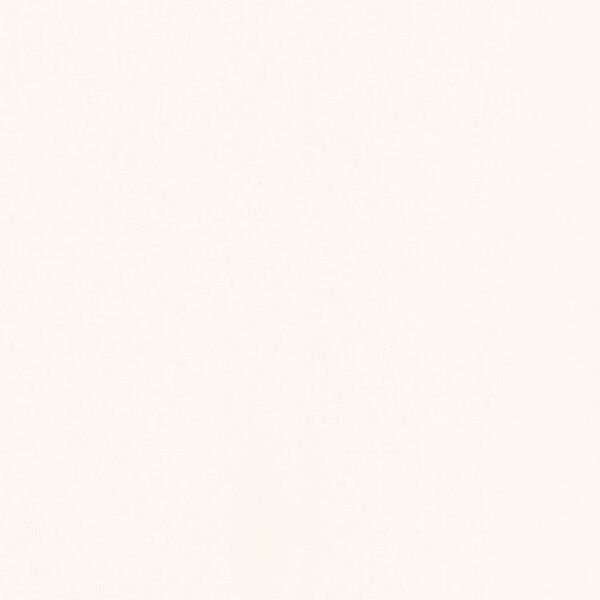 zdjęcie paradyż gamma bianco mat płytka ścienna 19.8x19.8 