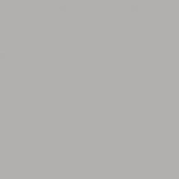 zdjęcie paradyż gamma jasno szara colours połysk płytka ścienna 19.8x19.8