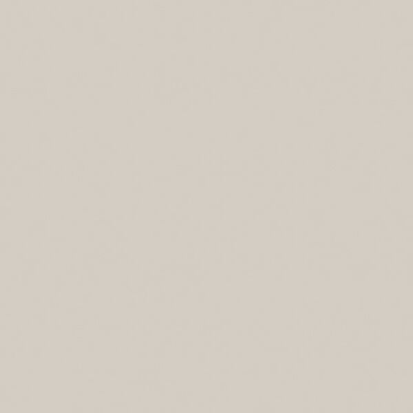 zdjęcie paradyż gamma popielata połysk płytka ścienna 19.8x19.8 