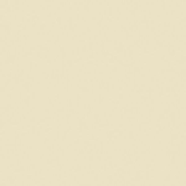 zdjęcie paradyż gamma waniliowa mat płytka ścienna 19.8x19.8 