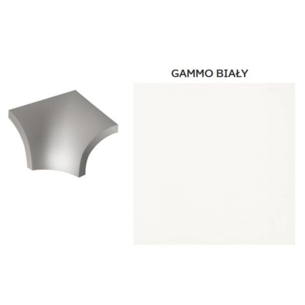 zdjęcie paradyż gammo biały kształtka f mat 3x4 