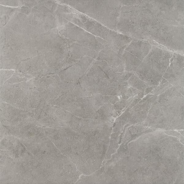 zdjęcie paradyż ibis grys gres mat 60x60 