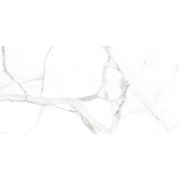 zdjęcie picasa alsacia gres mat rektyfikowany 60x120 