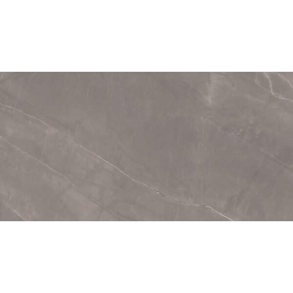 zdjęcie proceramica armani silver gres poler rektyfikowany 60x120 