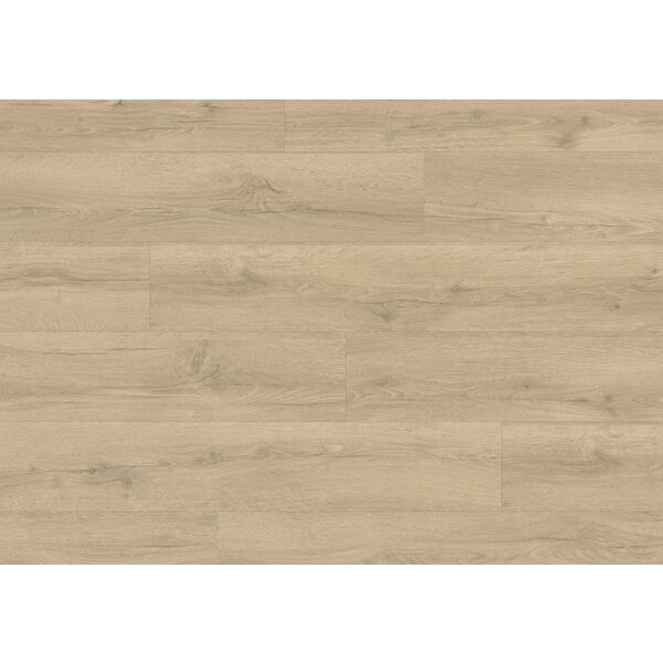 Classic Dab beżowy Piaskowy CLM5791 panel podłogowy w jasnym piaskowym odcieniu z widocznymi slojami