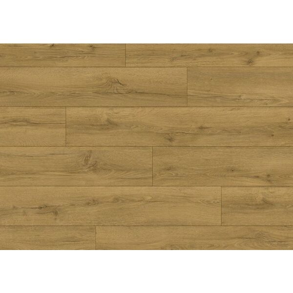 Classic Dab Miodowy brązowy CLM5792 panele w miodowym odcieniu z wyraźnym rysunkiem słojów