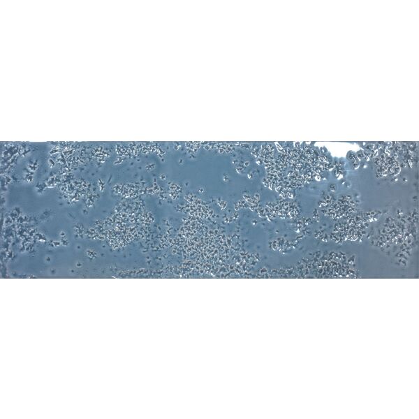 zdjęcie realonda kamado denim glossy gres 15x45