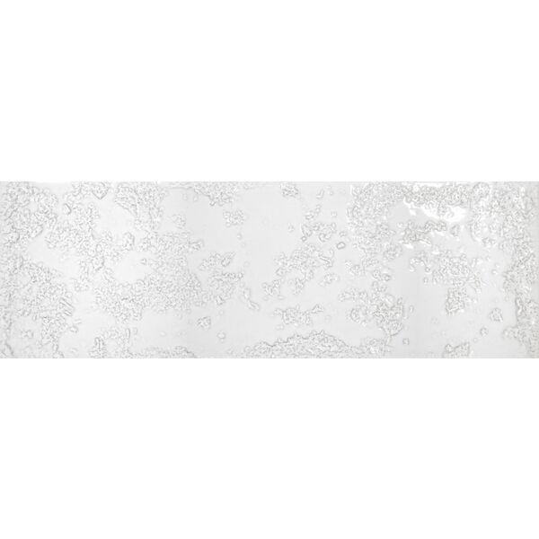 realonda kamado white glossy gres 15x45 