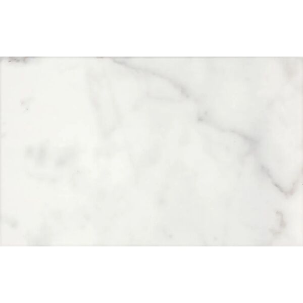 zdjęcie ribesalbes natural 01 grey płytka ścienna 25x40 