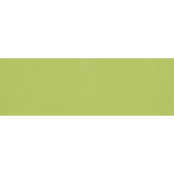 zdjęcie ribesalbes liso flat verde ziziebrillo płytka ścienna 10x30