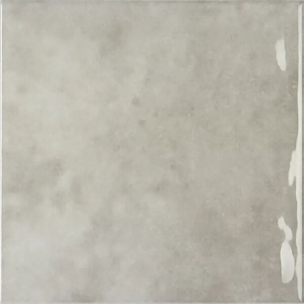 zdjęcie ribesalbes earth ash gloss płytka ścienna 15x15 