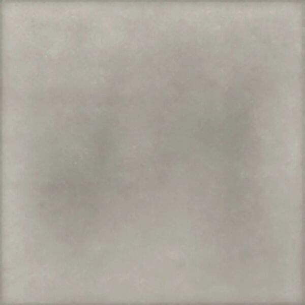 zdjęcie ribesalbes earth ash matt płytka ścienna 15x15 