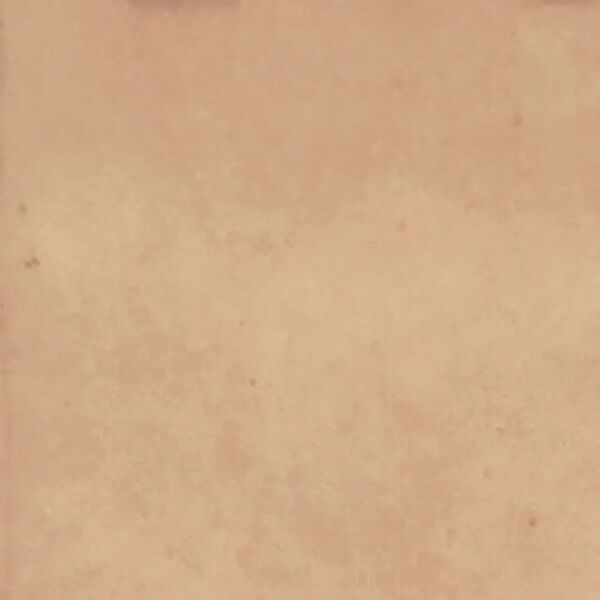 zdjęcie ribesalbes earth rosebud matt płytka ścienna 15x15 