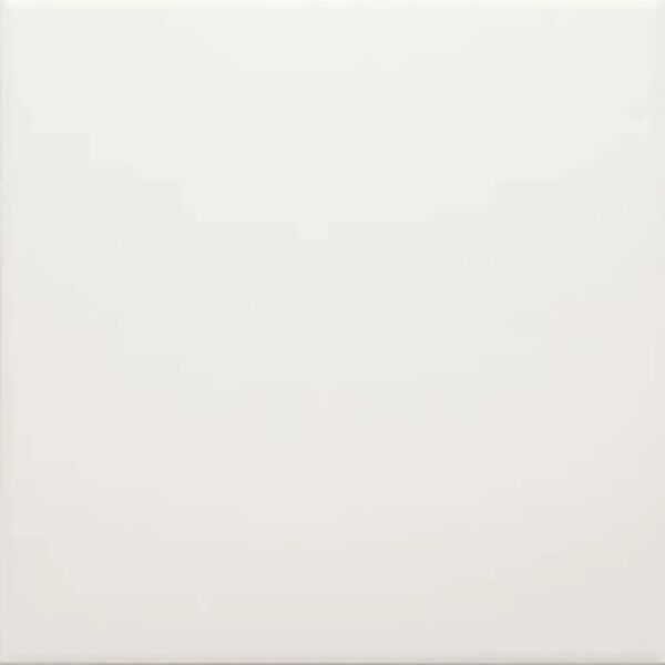 zdjęcie ribesalbes vatican gres 20x20 