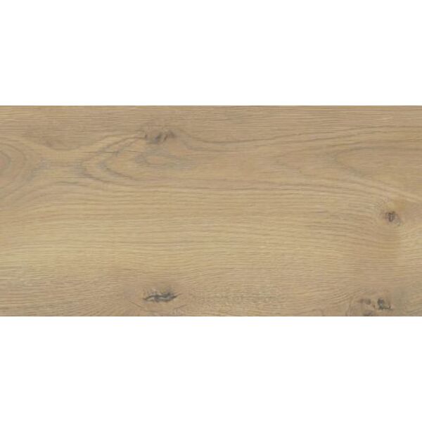 zdjęcie stargres taiga beige gres 30x60 