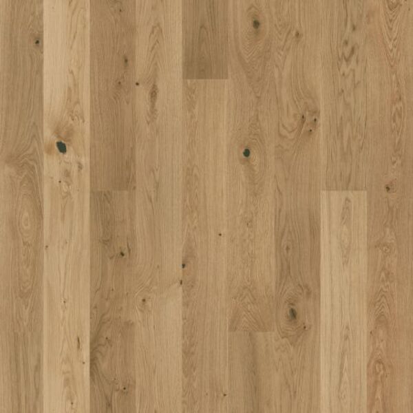 tarkett grace dąb  rustic plank xt 7877067 panel podłogowy 220x19x1.4 