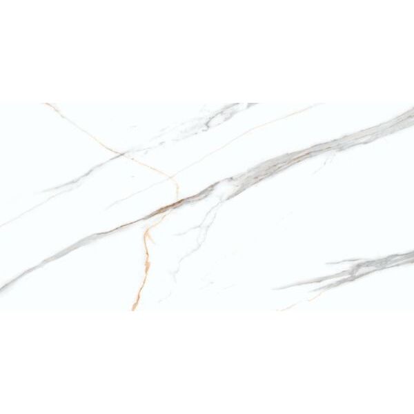 zdjęcie tiles ceramic marble albatros carving 60x120 (01636) 