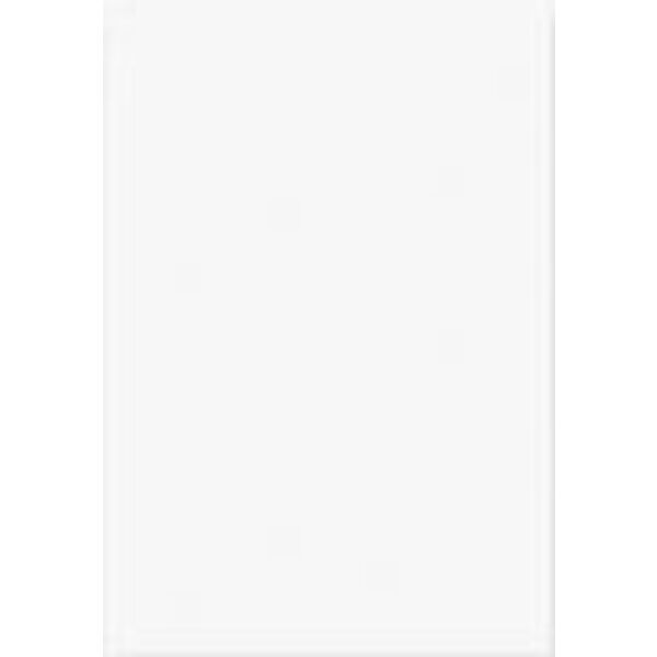 zdjęcie vives blanco brillo płytka ścienna 23x33.5 