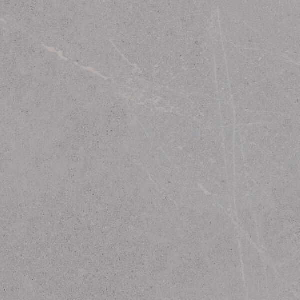 zdjęcie vives seine-r gris gres rektyfikowany 59.3x59.3 