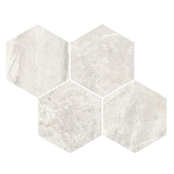 zdjęcie vives albiense nacar 28x35 