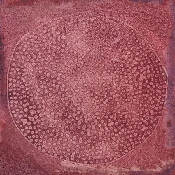 zdjęcie vives carlo granate-b płytka ścienna 20x20 