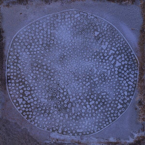 zdjęcie vives carlo marino-b płytka ścienna 20x20 