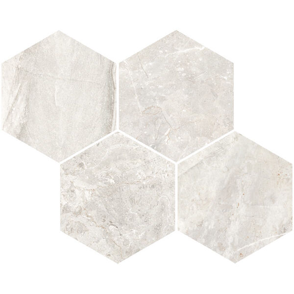 zdjęcie vives albiense-sp nacar 28x35 