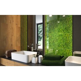 fresh moss cersanit