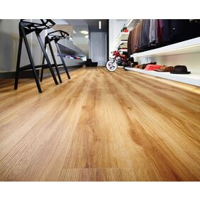 transform dryback moduleo