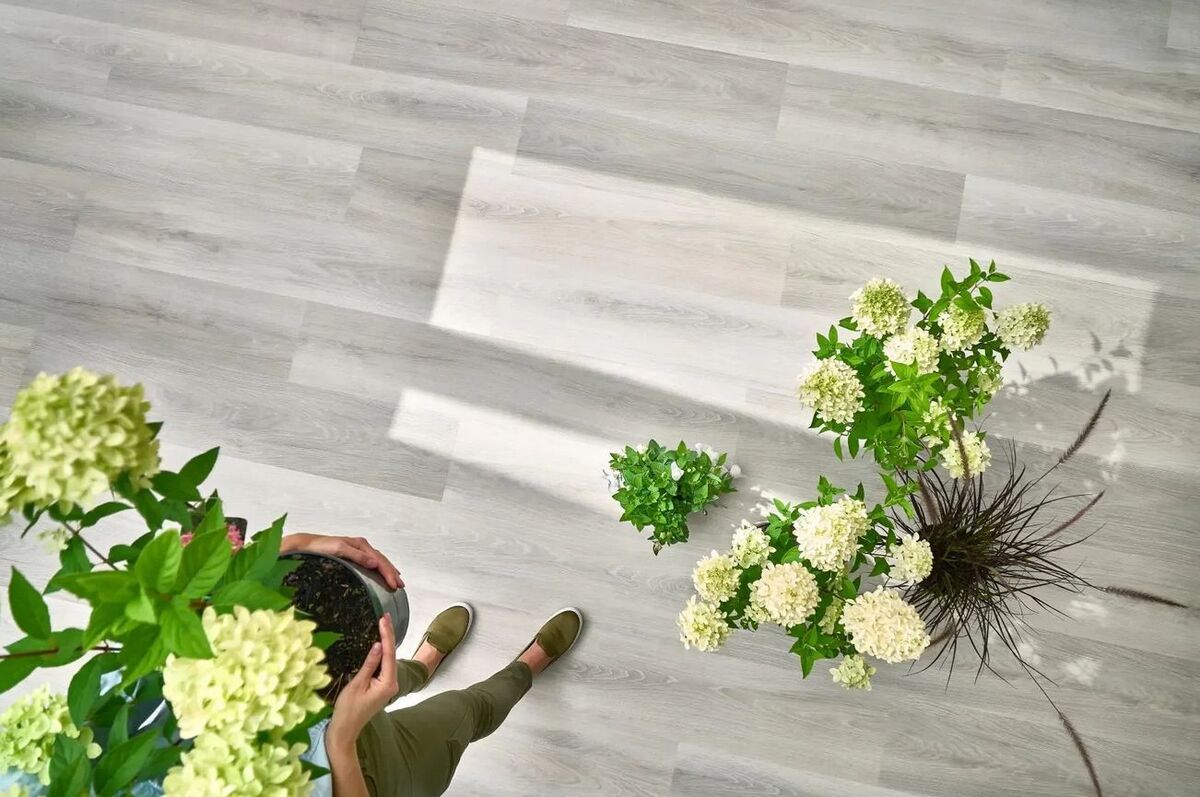 arbiton woodric acoustic