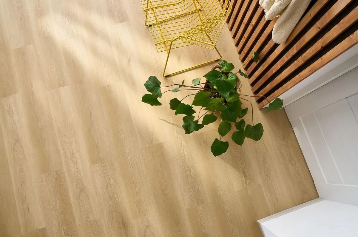 arbiton woodric acoustic