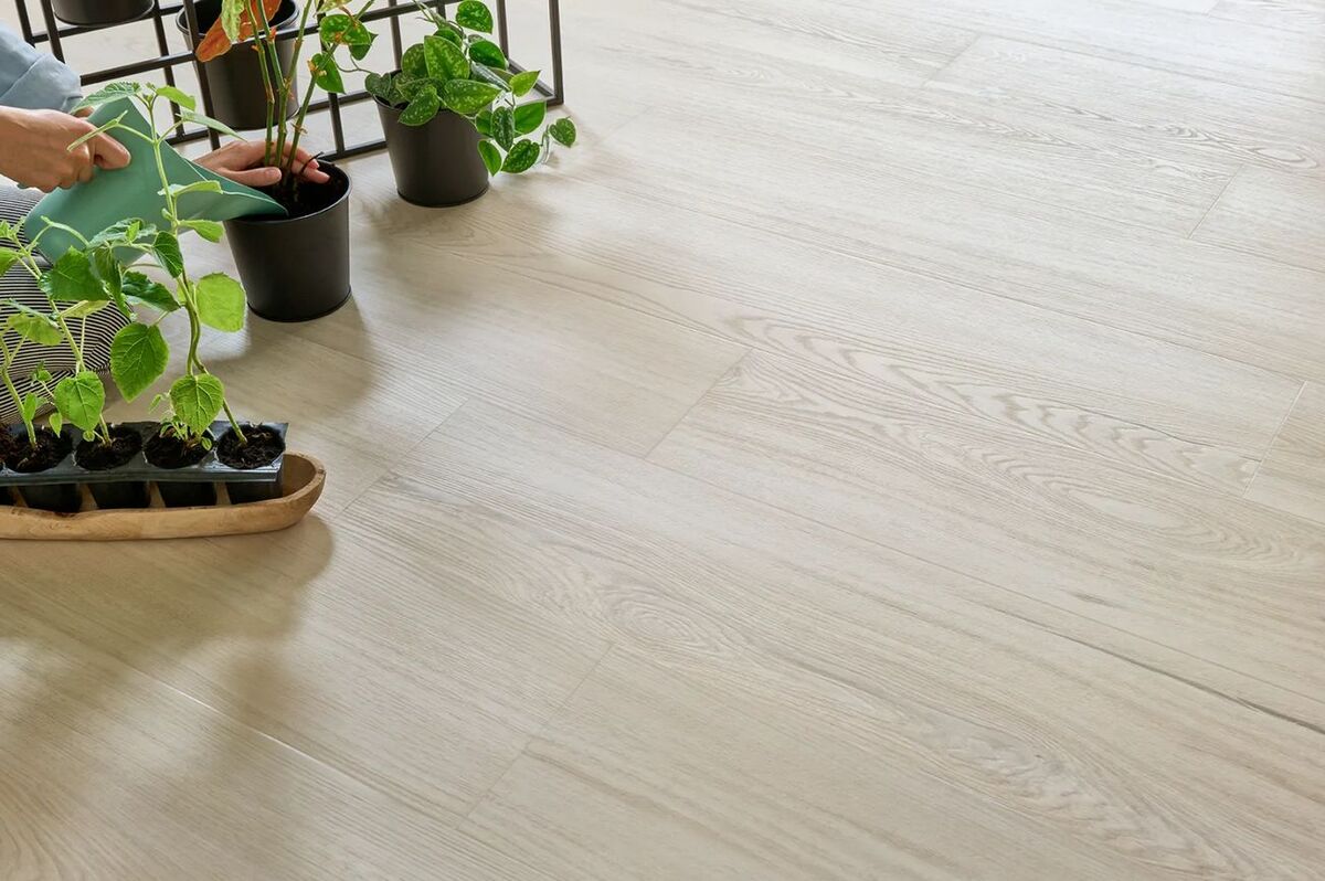 arbiton woodric eir acoustic