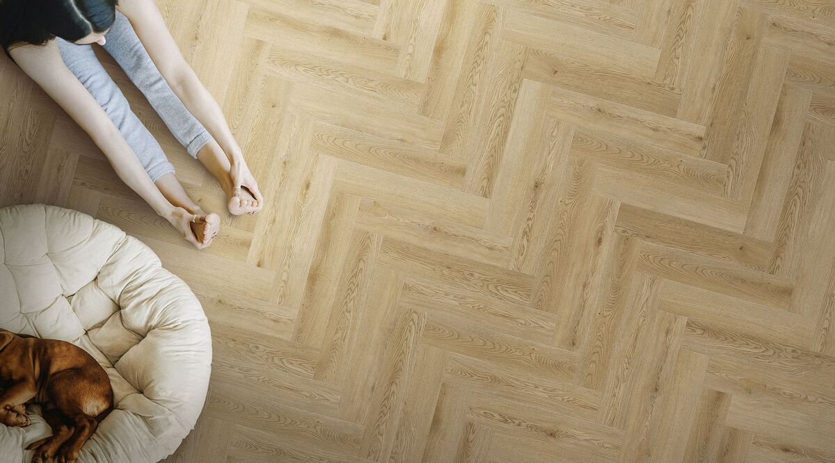 multicontract solen jodełka